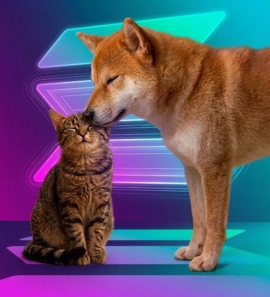 Doge nuzzling Cate against a vibrant neon arrow backdrop